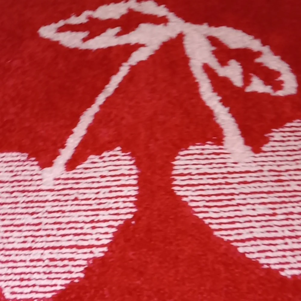 Juicy Couture Valentines Day Plush Bath Rug 🍒🍒🍒🍒❤️❤️❤️❤️